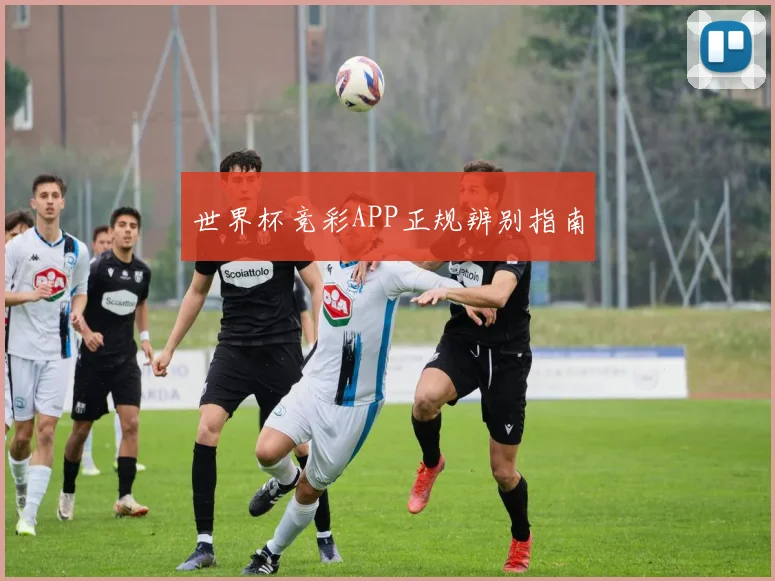 世界杯竞彩APP正规辨别指南