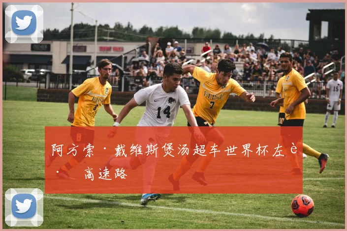 阿方索·戴维斯煲汤超车世界杯左路高速路