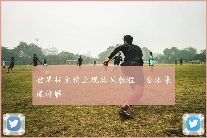 世界杯竞猜正规购买教程｜合法渠道详解