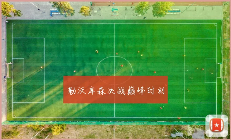 勒沃库森决战巅峰时刻