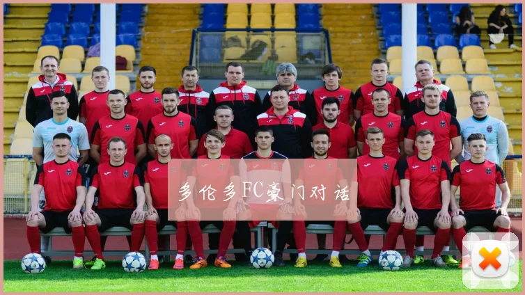 多伦多FC豪门对话